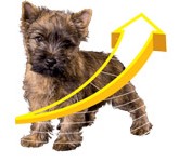 Prospera Plus Mini Junior 2 Kg 2 title=