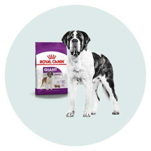 Royal canin hele grote honden