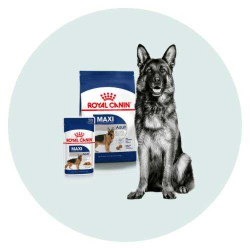 Royal Canin grote honden