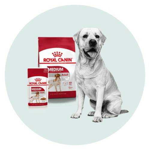 Royal Canin Medium honden