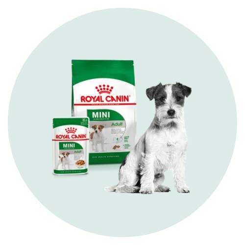 Royal Canin kleine honden