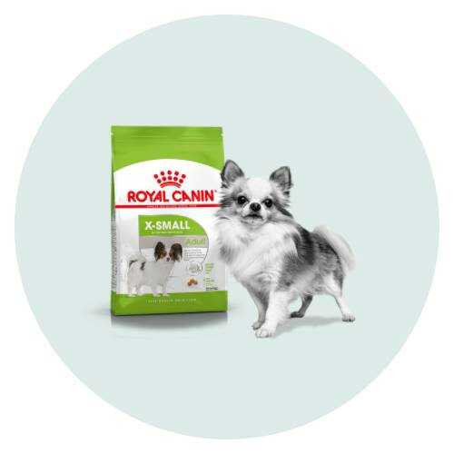 Royal Canin hele kleine honden