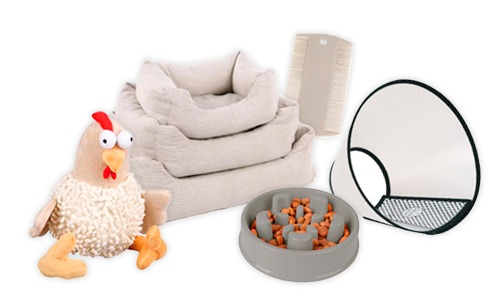 Flamingo gamme pour chiens