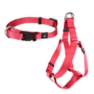 Flamingo gamme de colliers et laisses pour chiens