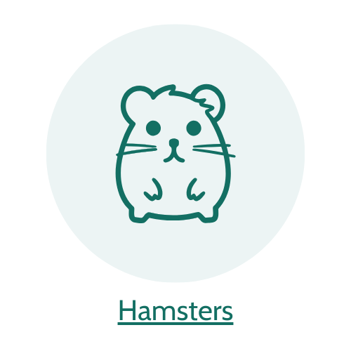 5% op hamsterartikelen