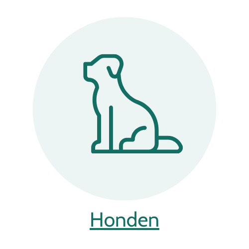 5% op hondenartikelen