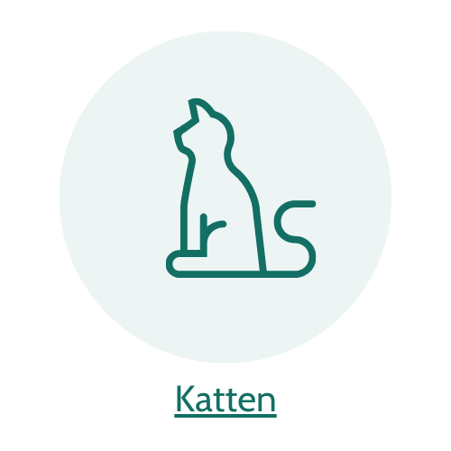 5% op kattenartikelen