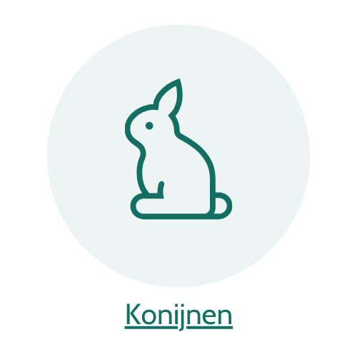 5% op konijnenartikelen