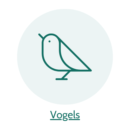 5% op vogelvoer