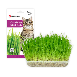 Flamingo gamme de herbe a chats