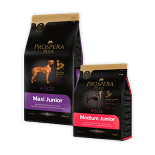 Prospera Plus gamme d'alimentation pour chiots
