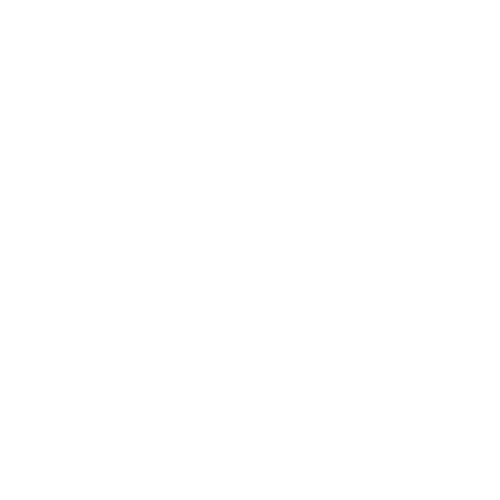 tiktok icon