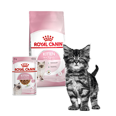 Royal-Canin assortiment voor kittens