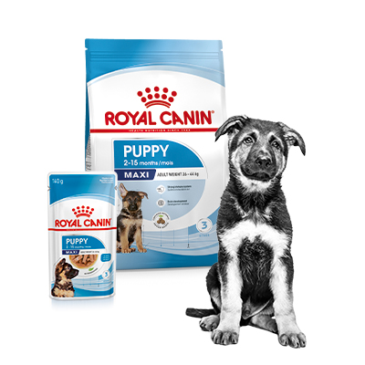 Royal-Canin assortiment voor puppy's
