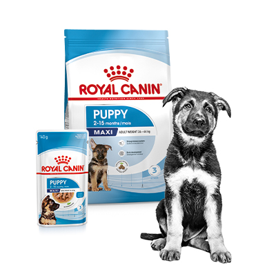 Royal Canin assortiment voor puppy's