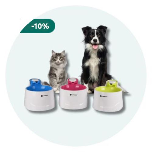 Waterfonteinen hond en kat
