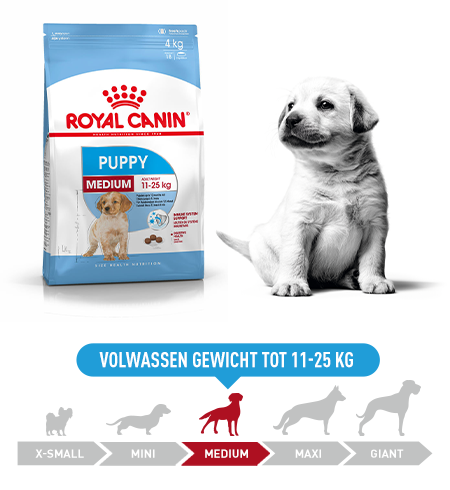 Begeleiden sirene positie Royal Canin Medium Junior - Hondenvoer - 15kg - Droogvoer Hond - Hondenvoer Royal  Canin Size Nutrition | Pharmapets