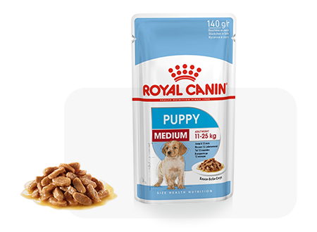 Begeleiden sirene positie Royal Canin Medium Junior - Hondenvoer - 15kg - Droogvoer Hond - Hondenvoer Royal  Canin Size Nutrition | Pharmapets