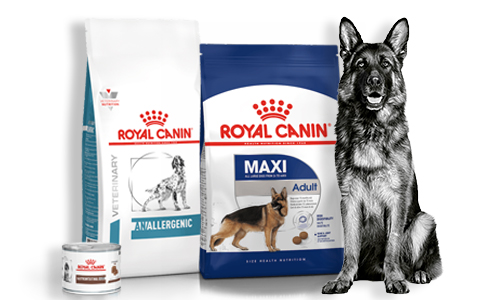 Royal Canin gamme pour chiens