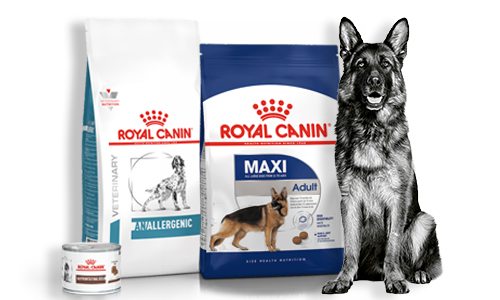 Royal-Canin assortiment voor honden