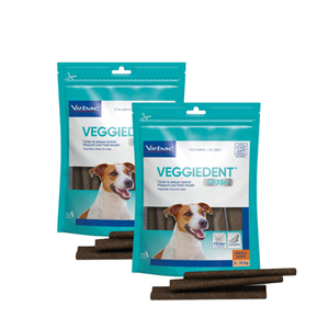 Virbac gamme de produits dentaire pour chiens