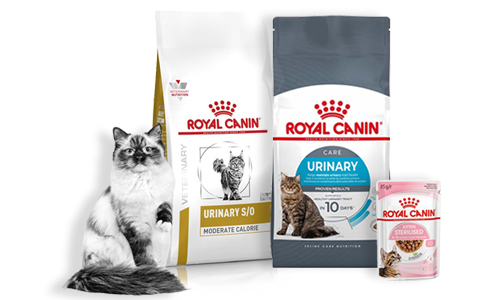 Royal-Canin assortiment voor katten